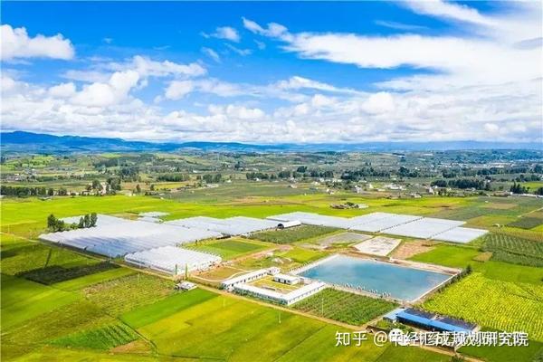 农村三产融合是新生事物,离不开政府的支持.