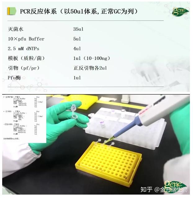 知无不“研”| PCR超全实验操作视频及实例protocol(视频+直播,实验从入门到精通) - 知乎