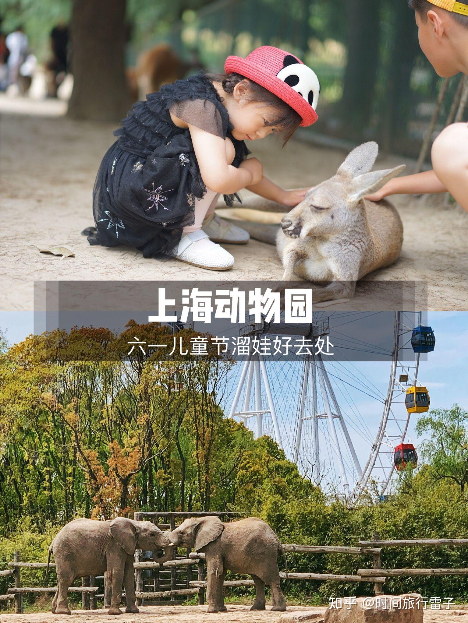 上海野生动物园六一儿童节溜娃好去处