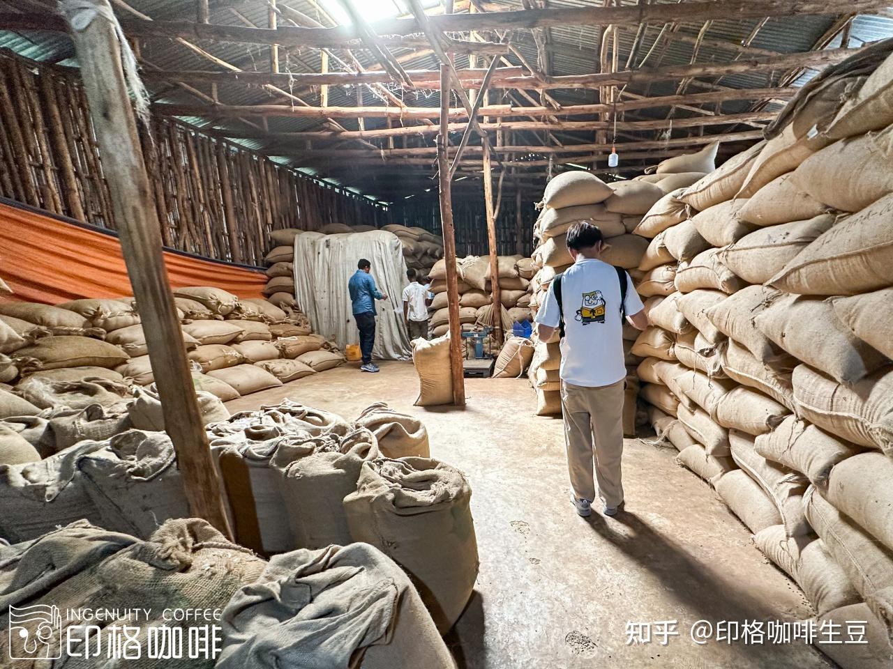 上新 | 埃塞俄比亚新产季西达摩CoE获奖产区精选豆，升级豆单的性价比之选！ - 知乎