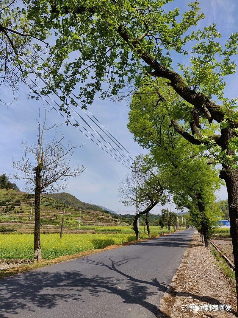 蕉川位于遂昌县北部,属新路湾镇,南距县城约15公里.