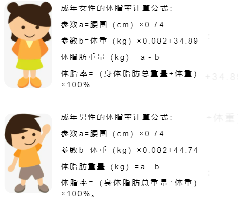 80的人體脂率比豬高留下體重腰圍小賽幫你計算體脂率