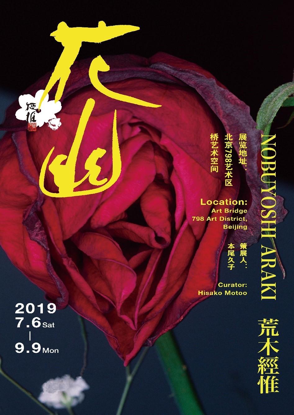 荒木经惟:给妻子最动人的情书