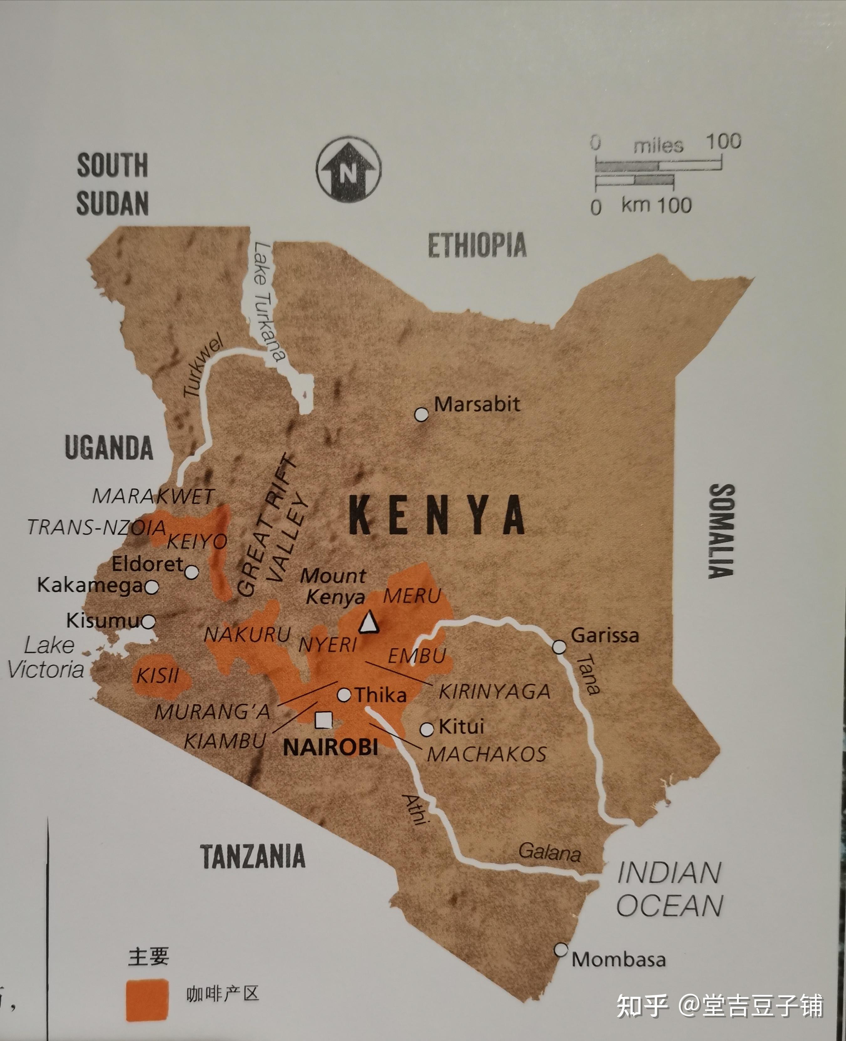 肯尼亚咖啡的分级制度及豆种