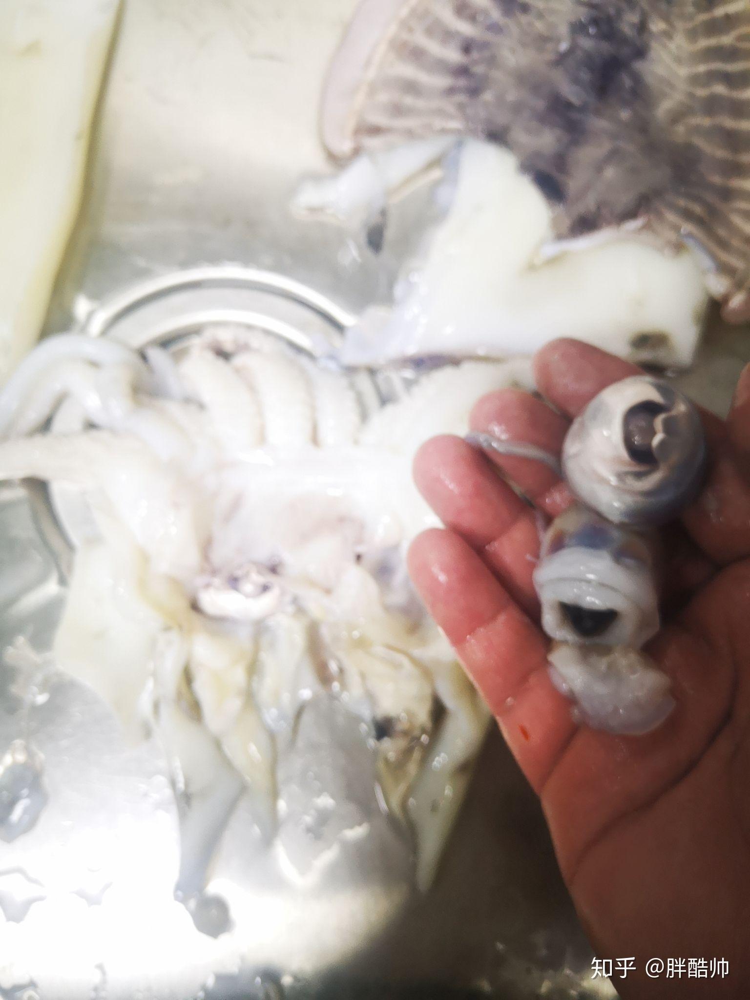 头部从内向外二指一顶,把眼睛下了这个程序就可以相对完整的取出墨囊