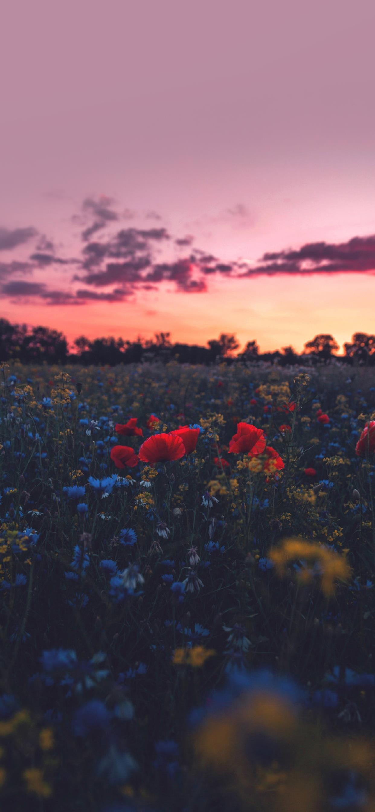 有哪些可以做微信聊天背景的图片?