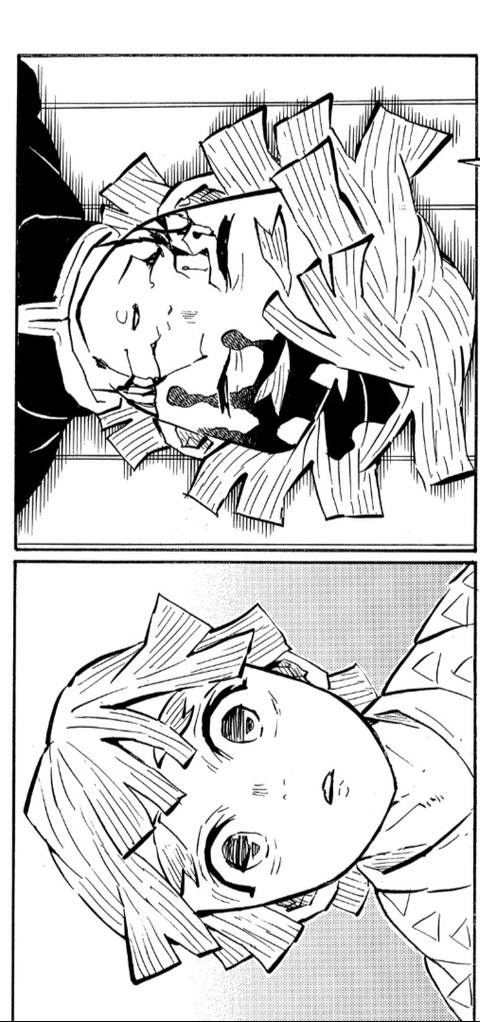 善逸党.漫画截的.喜欢拿去. 侵删.