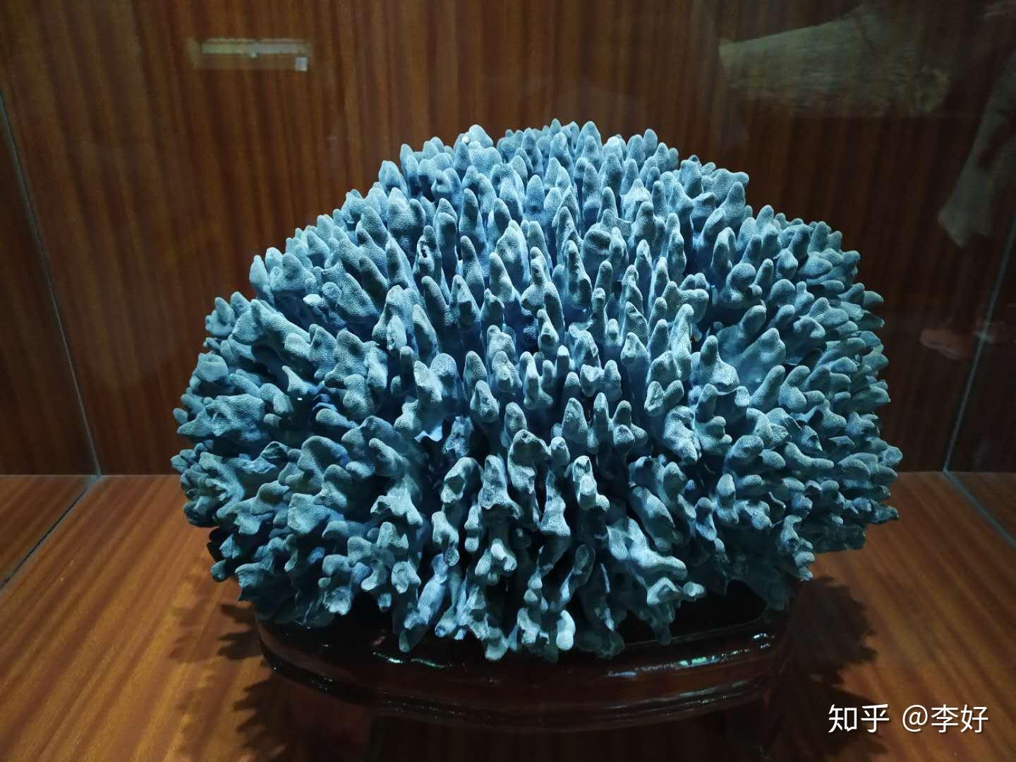 不过这些真的是宝贝,可谓是奇珍异宝,随便拍了几张报团第二