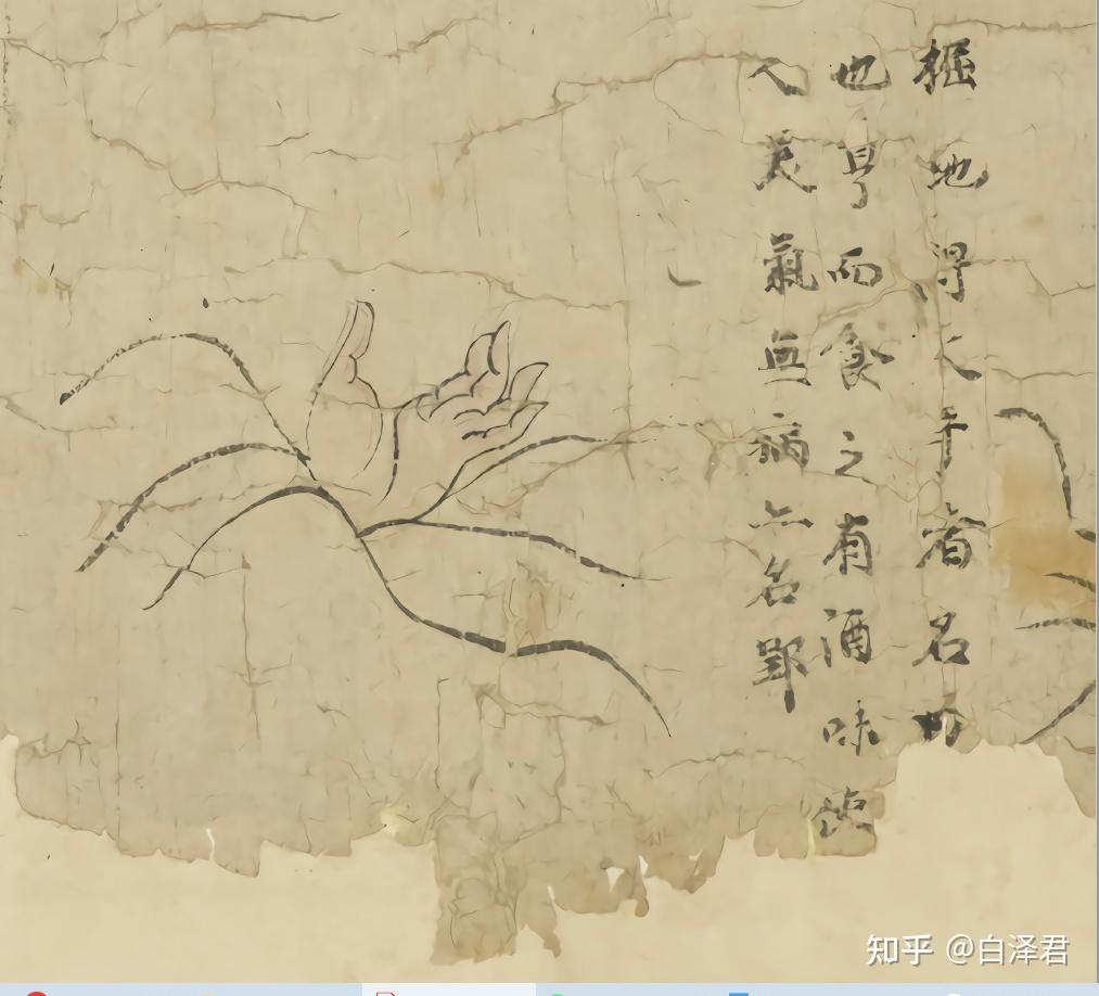 《白泽图辑存》第73条-封（初稿） - 知乎