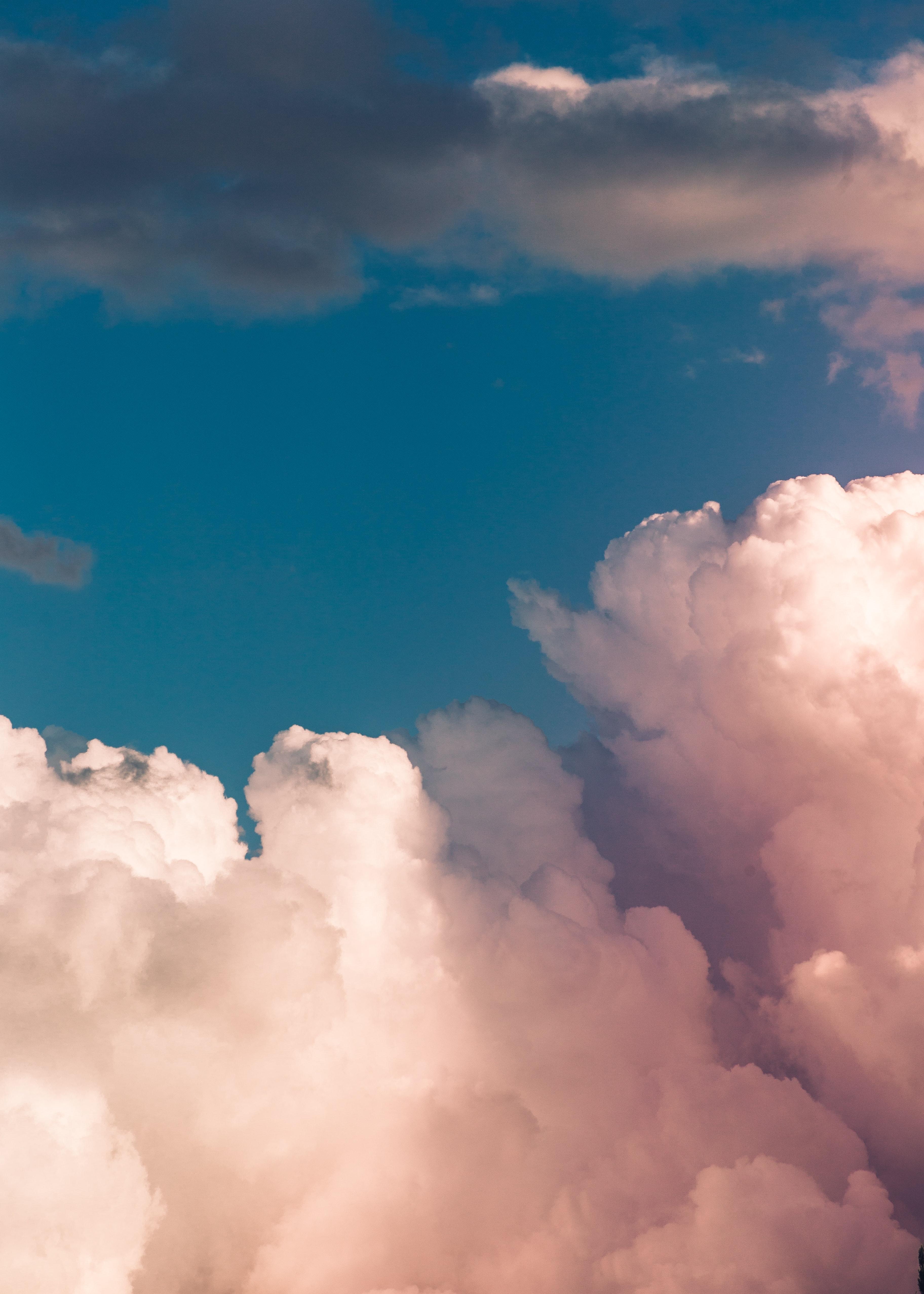 壁紙鮮花天空雲朵星空