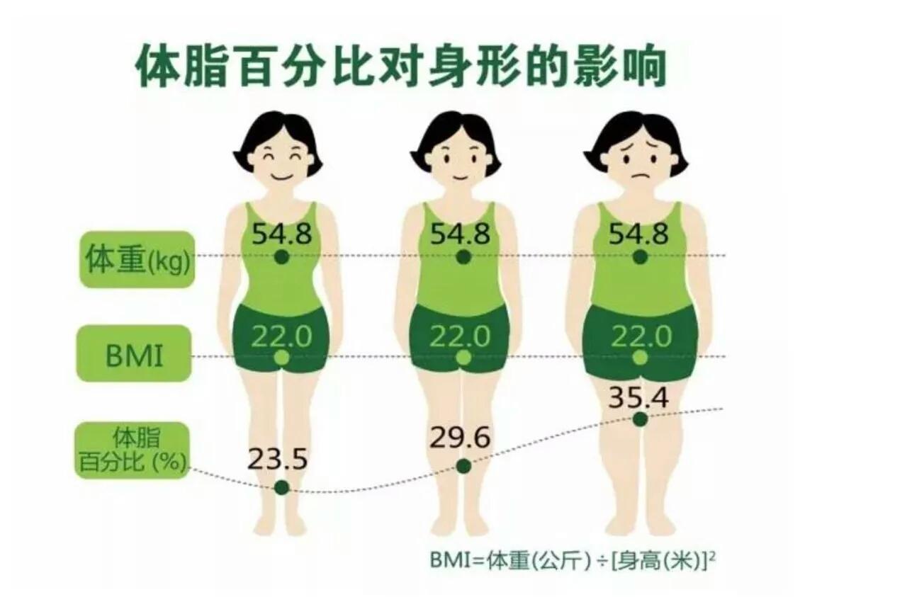 最新のファッション 新着女性 平均 体 脂肪 率