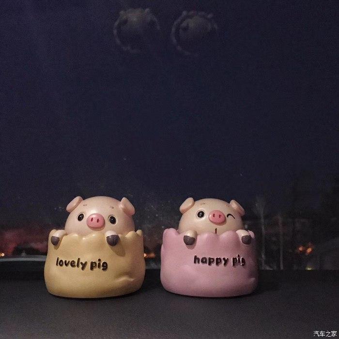 还有一对小猪猪[猪头][猪头][爱心]爱车与南京眼交相辉映[调皮][调皮]