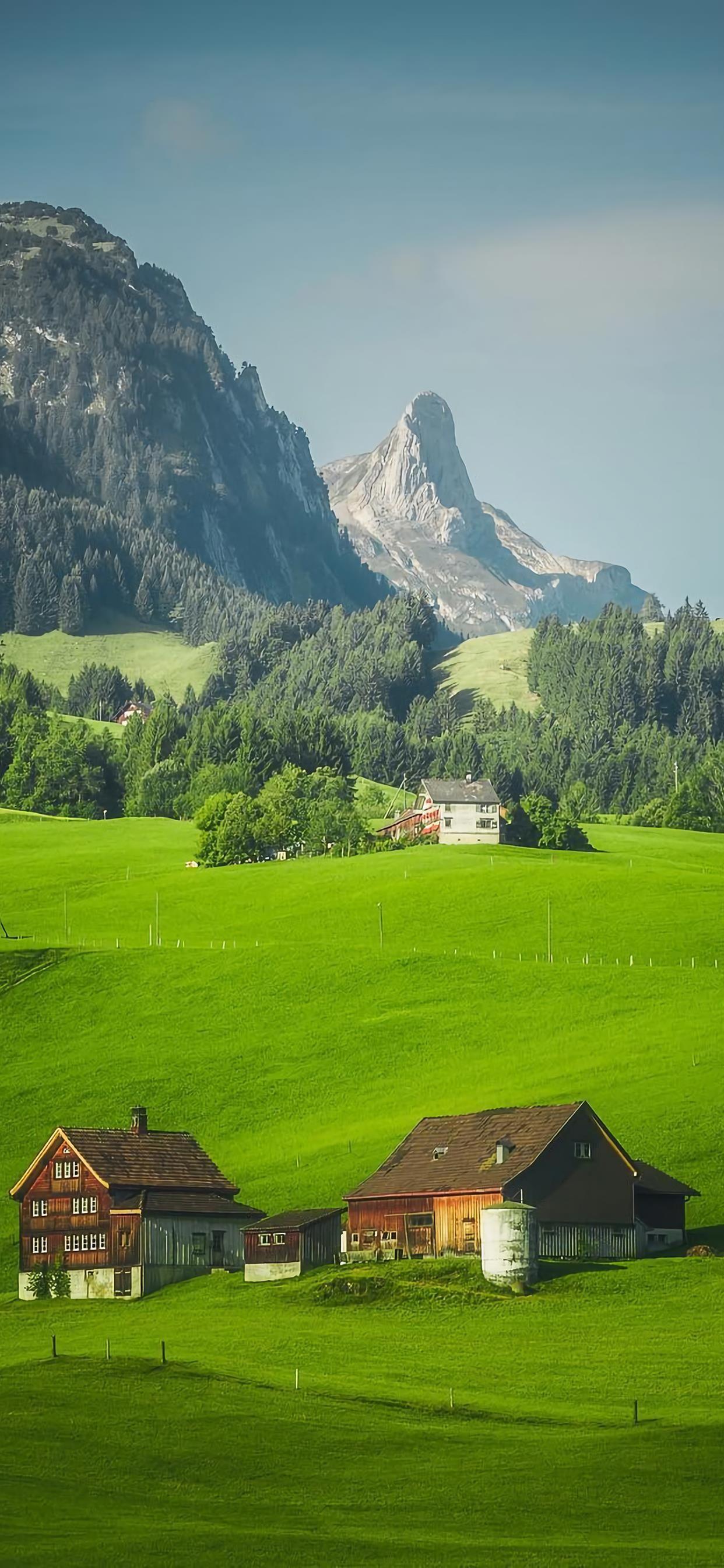 你珍藏了哪些小众高级的壁纸