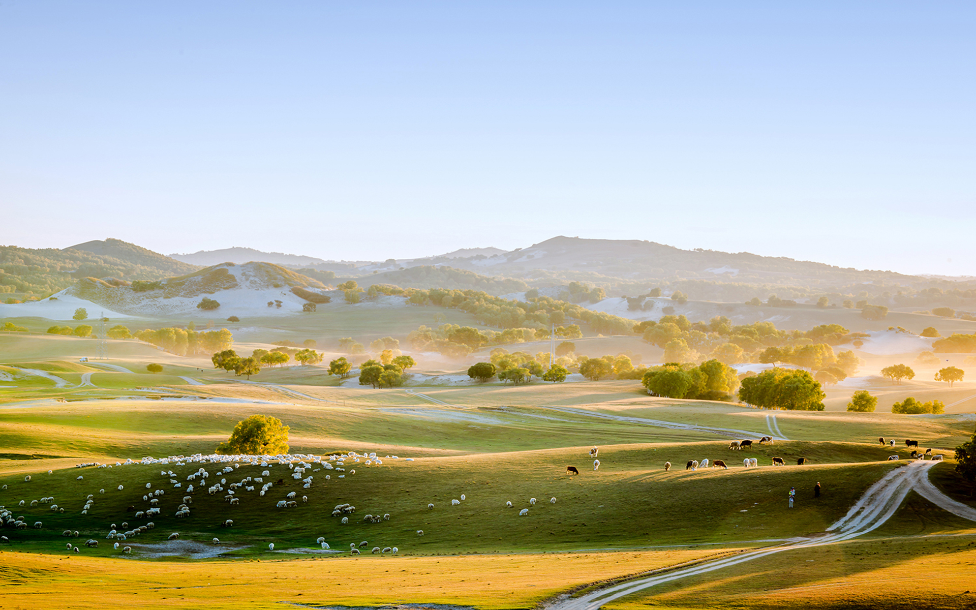 吉林农业大学函授怎么报名