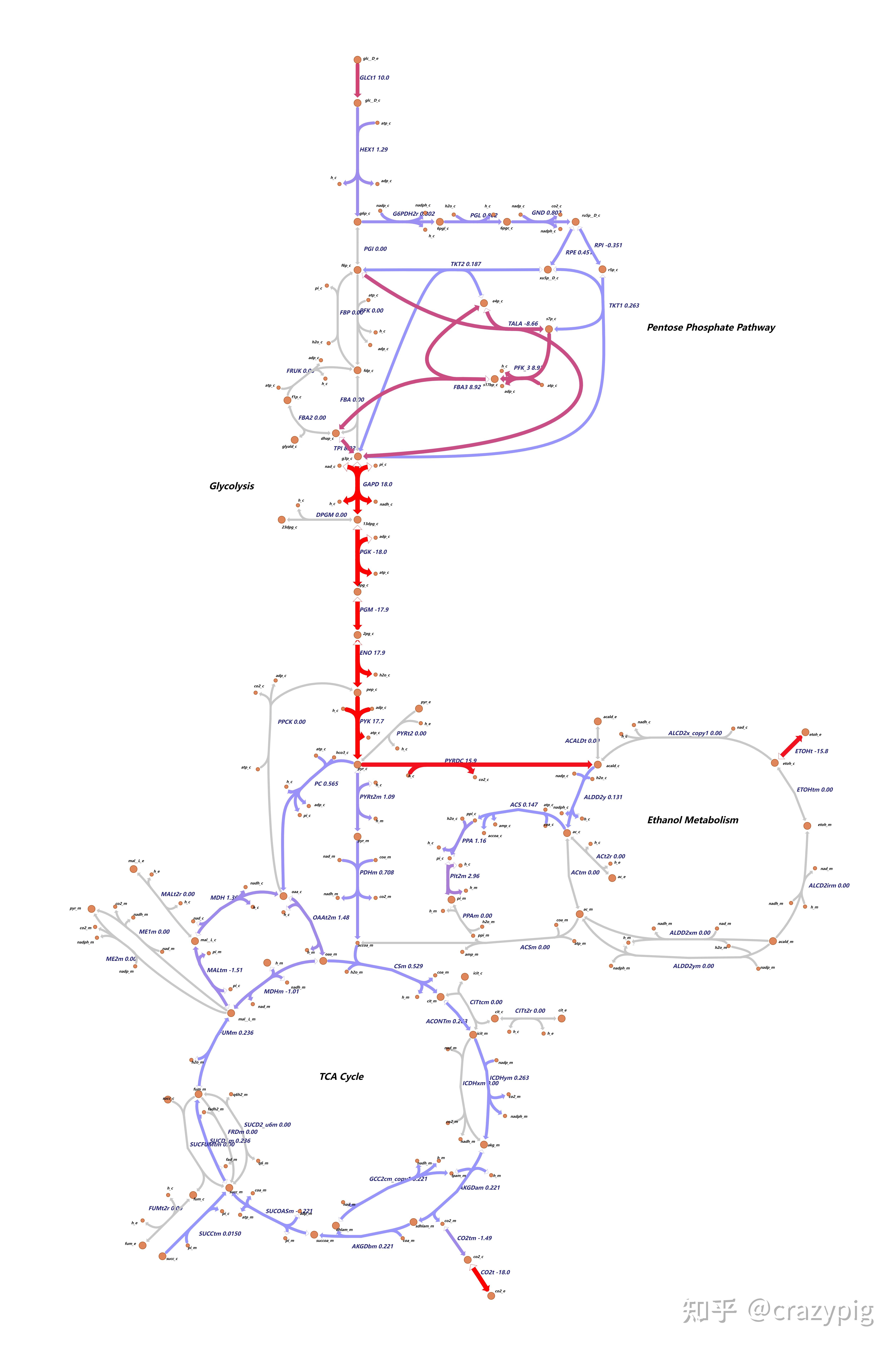 技术分享-使用基因组代谢网络模型模拟酿酒酵母在不同碳源条件下的生长情况 - 知乎