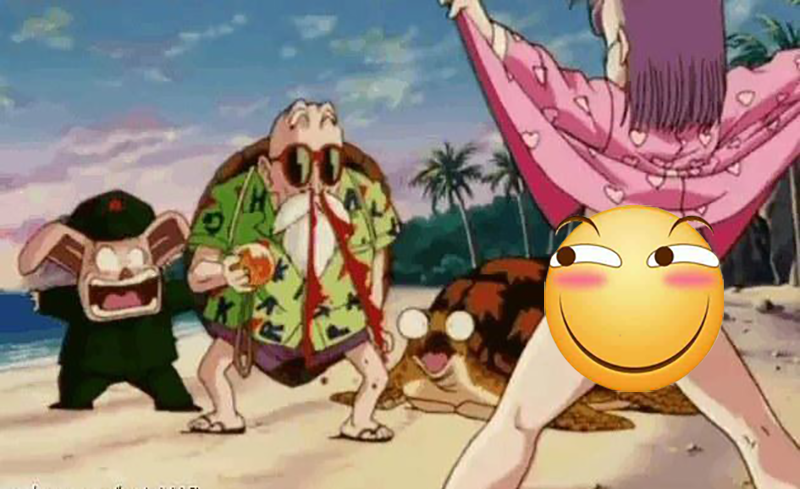 从龟仙人的长寿来看