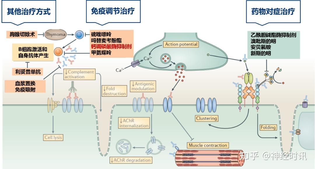 等以及两性霉素等抗真菌药物),部分心血管药物(如利多卡因,奎尼丁,β
