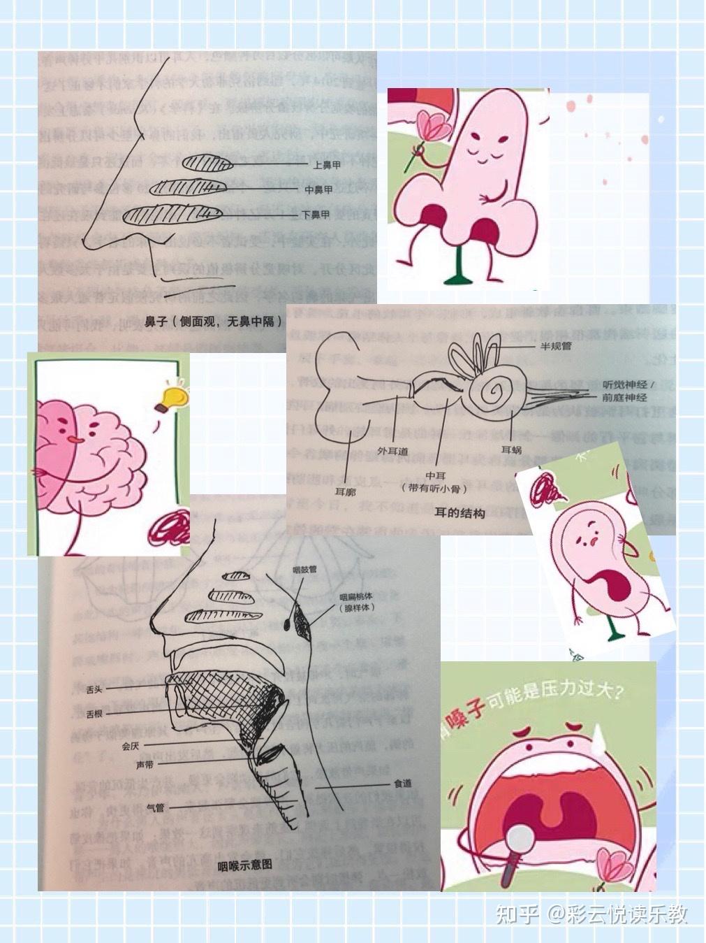 耳鼻喉知识干货尽在耳鼻喉接待室里 - 知乎