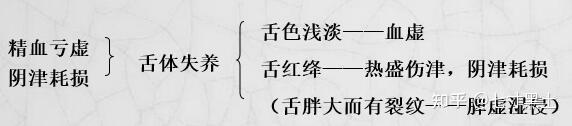 4.中医诊断学— 舌诊 - 知乎
