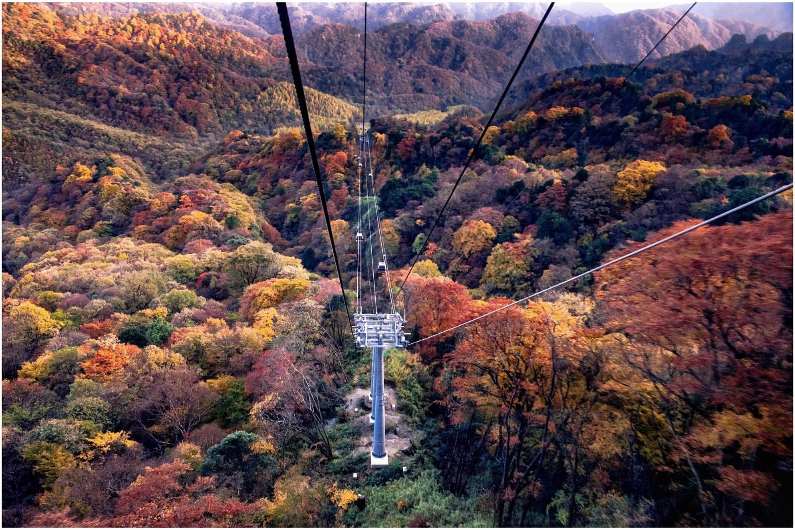 光雾山赏秋最全指南!带你领略“中国红叶第一山”的红叶盛宴