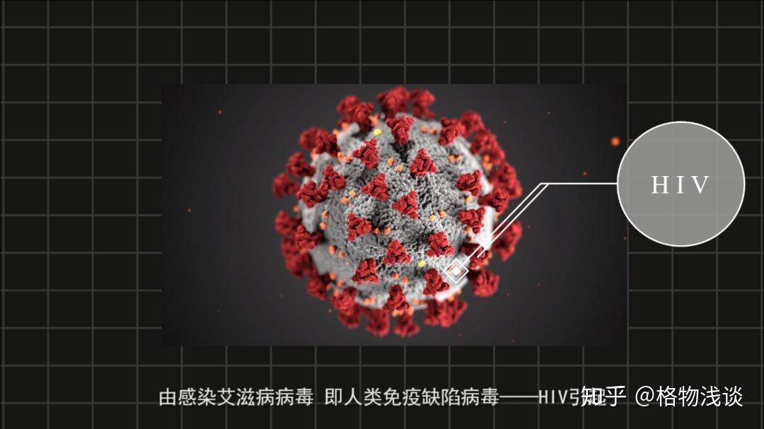 带蒂的疣体是什么样子_蒂状疣是怎么引起的_疣体根部有蒂图片