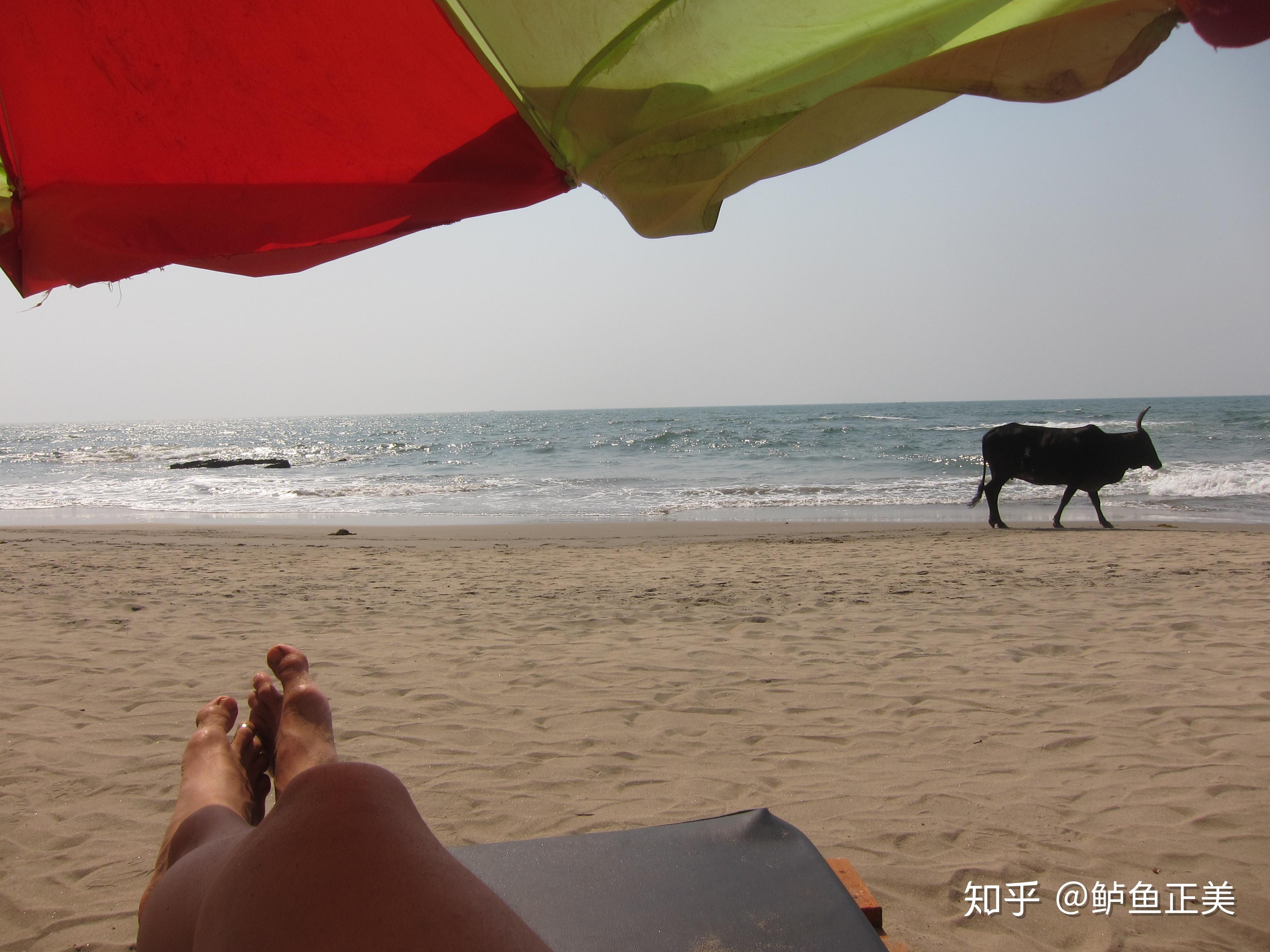 晒日光浴在海滩的人们 图库摄影片. 图片 包括有 地中海, 海岸, 欧洲, 火箭筒, 拱道, 拥挤, 意大利 - 89955017