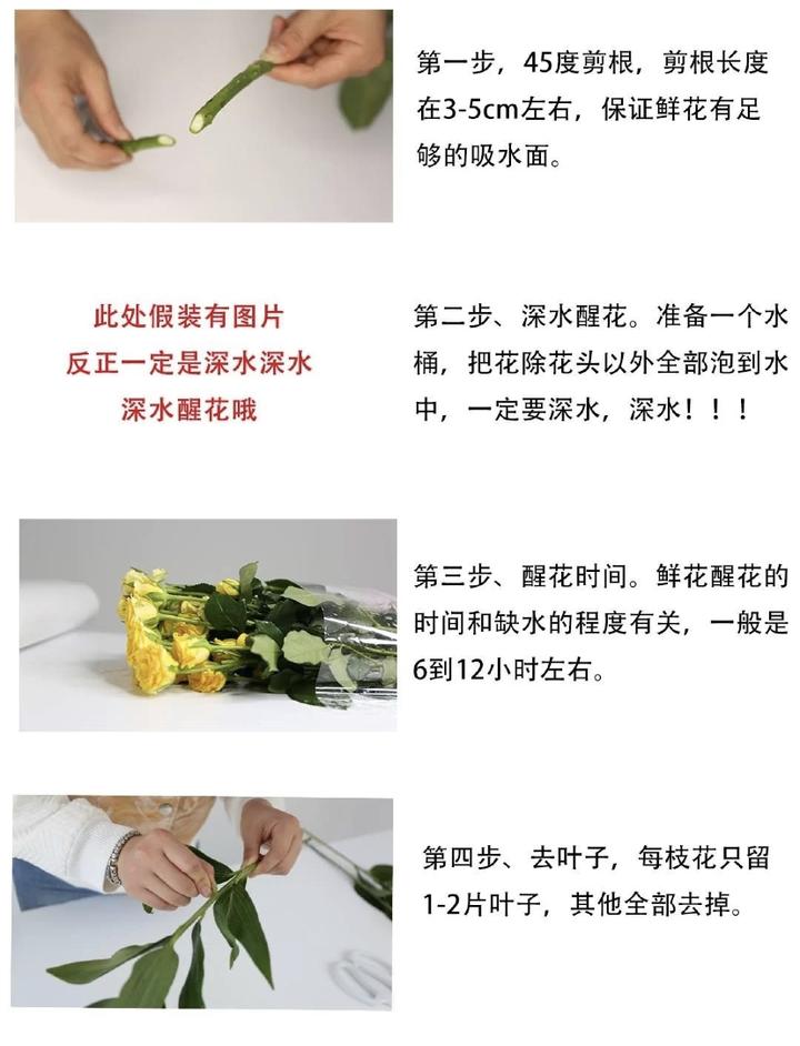 玫瑰养护之醒花 知乎 玫瑰养护之醒花 知乎