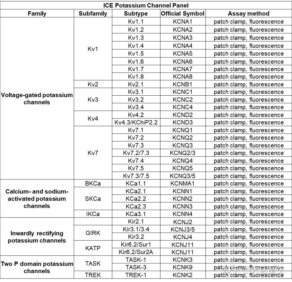 家族包括電壓門控鉀通道(kv),鈣激活鉀通道(kca),內向整流鉀通道(kir)