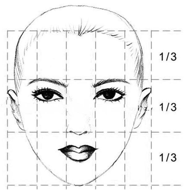 人的头部比例 (侧面)三庭五眼人的头部比例 (侧面)三庭五眼人的头型和