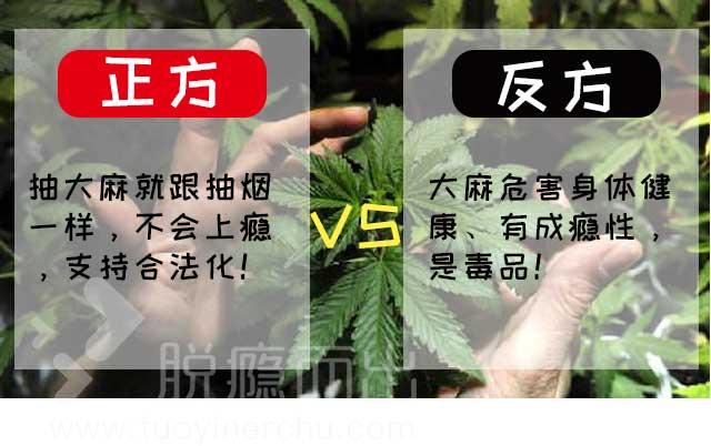 支持大麻合法化的人 可以先看看这个研究再说 知乎 支持大麻合法化的人 可以先看看这个研究再说 知乎