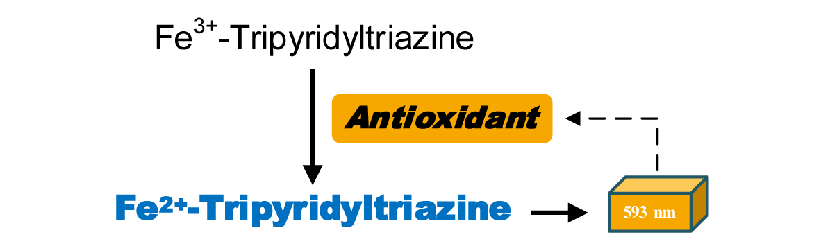 下抗氧化物可以将fe0662-tptz还原为蓝色的络合物fe0562-tptz