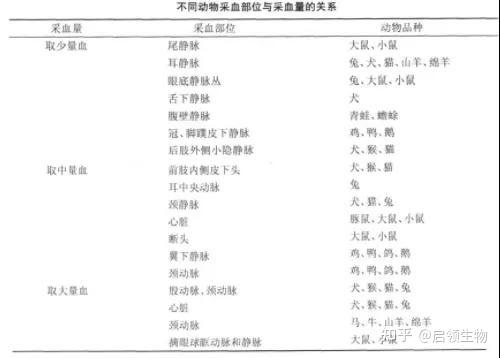 动物实验之实验动物血液采集方法 知乎