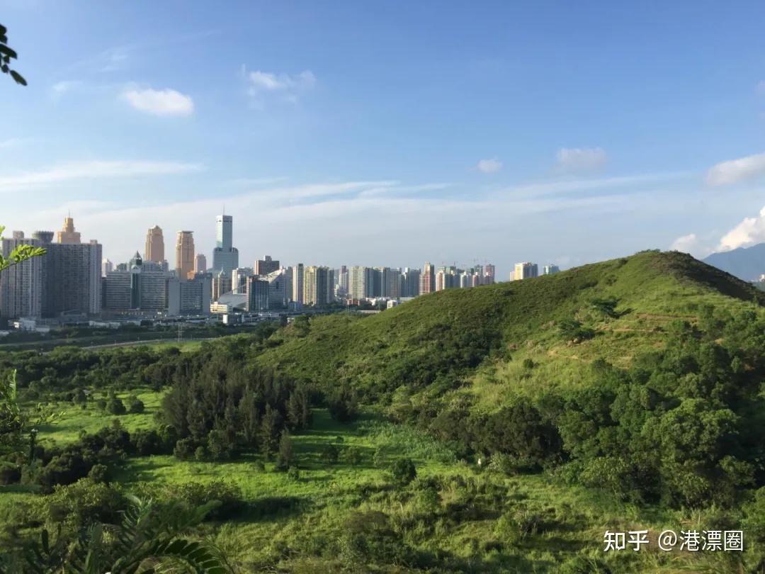 就是前段时间引起深圳,香港两地居民热烈讨论的沙岭超级殡葬城.