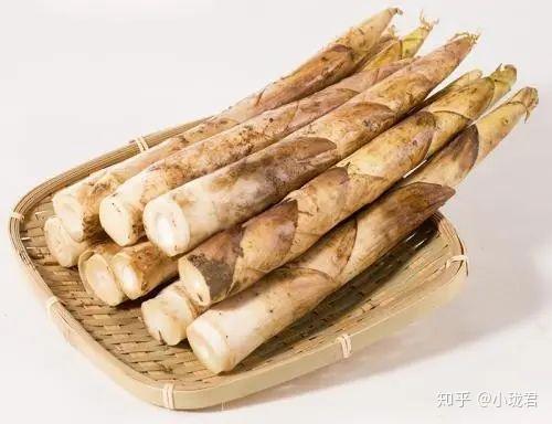 吃过春笋,才知春之味! - 知乎