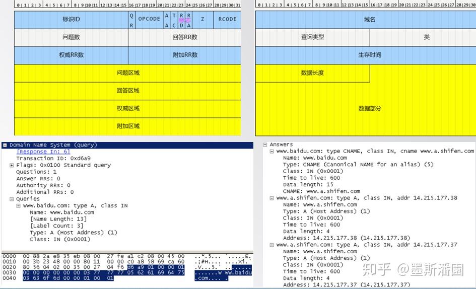互联网最重要入口DNS系列(1): 基本常识 - 知乎