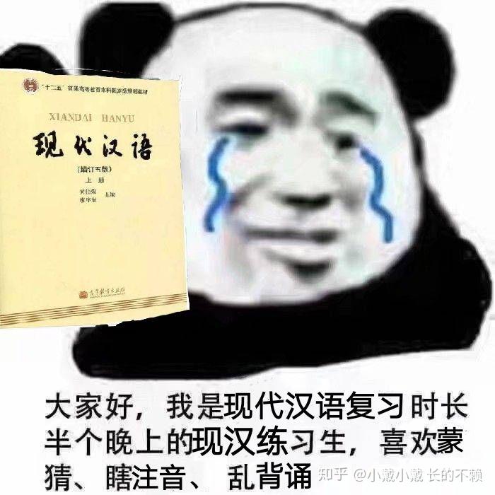 有哪些关于中文系汉语言文学专业的表情包