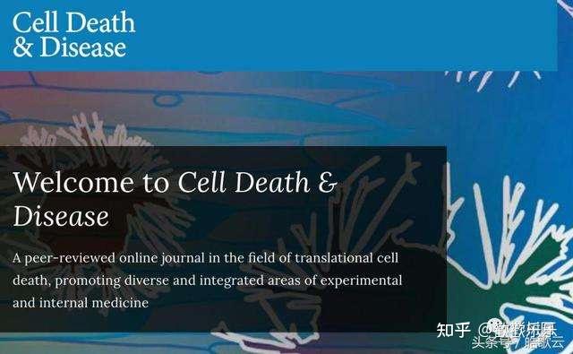 SCI报刊杂志代号