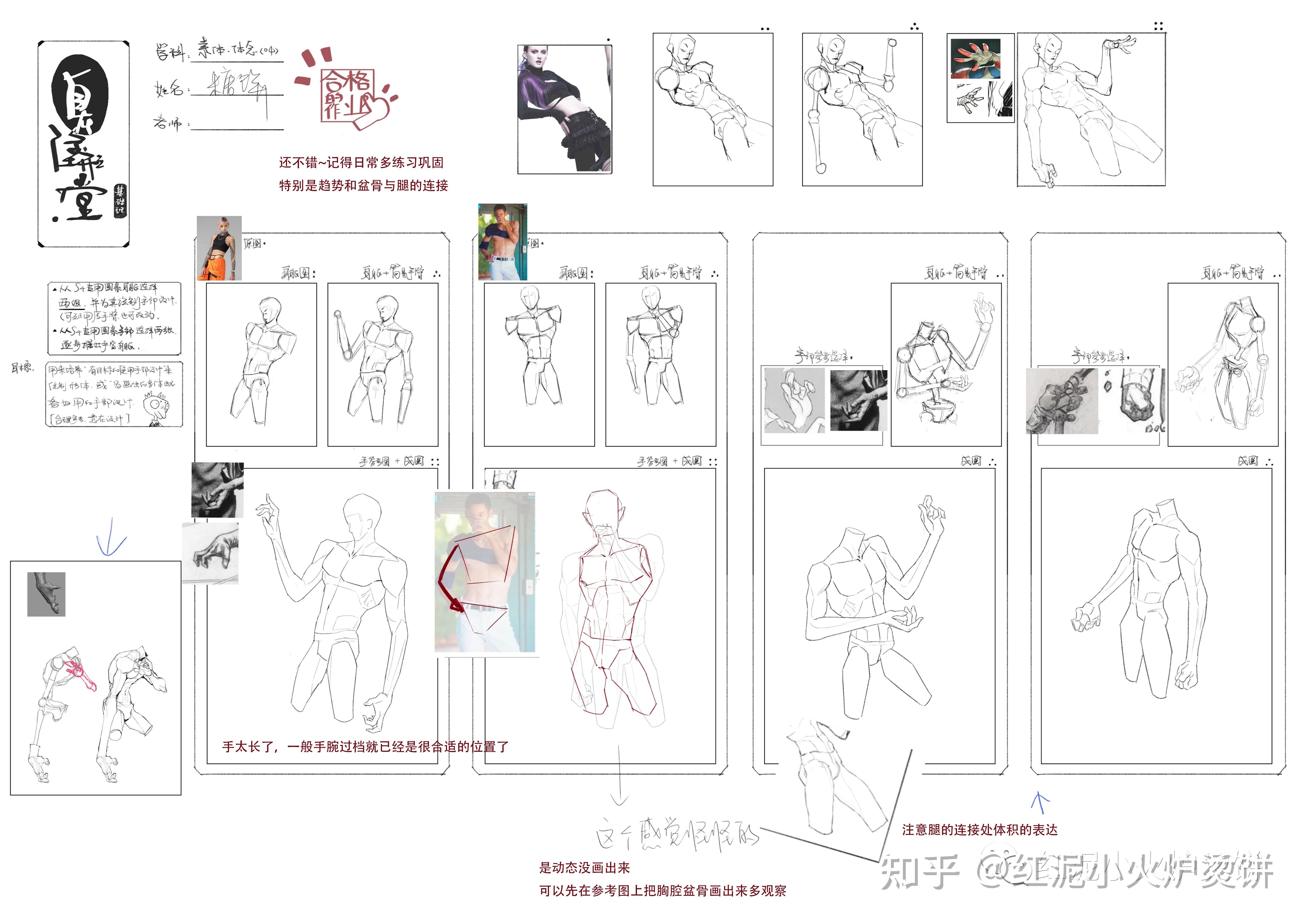 蚂蚁八手王课程-素体小结