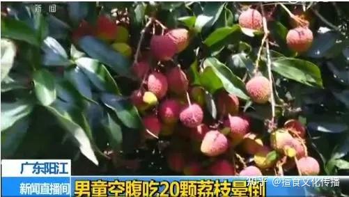 每年都有人因为吃荔枝而中毒,央视提醒:过量食用荔枝易得荔枝病 - 知乎