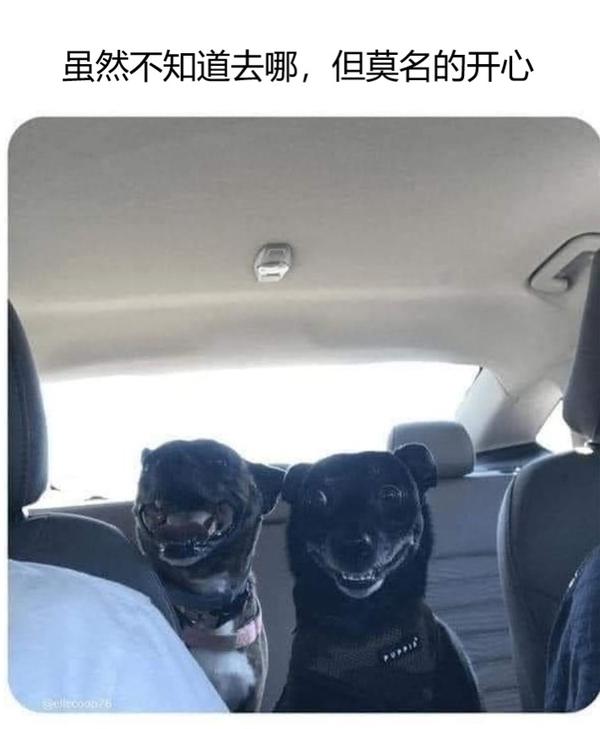 meme梗图④(无水印自取) - 知乎