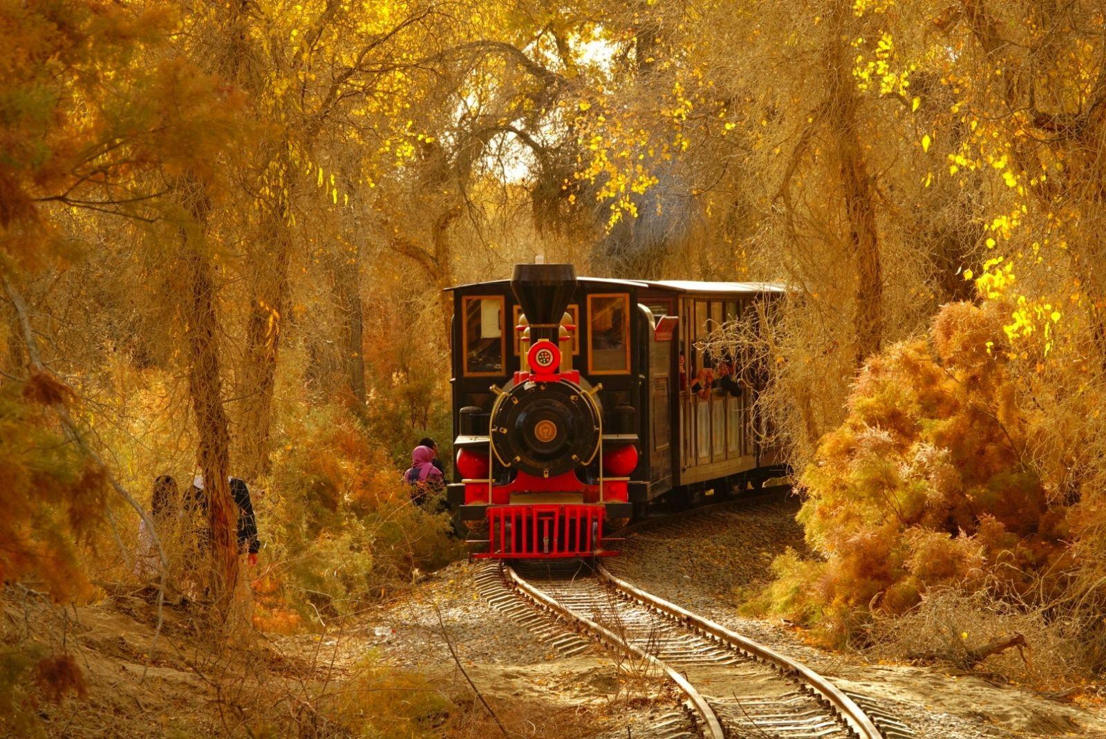 新疆旅游丨轮台胡杨林全攻略