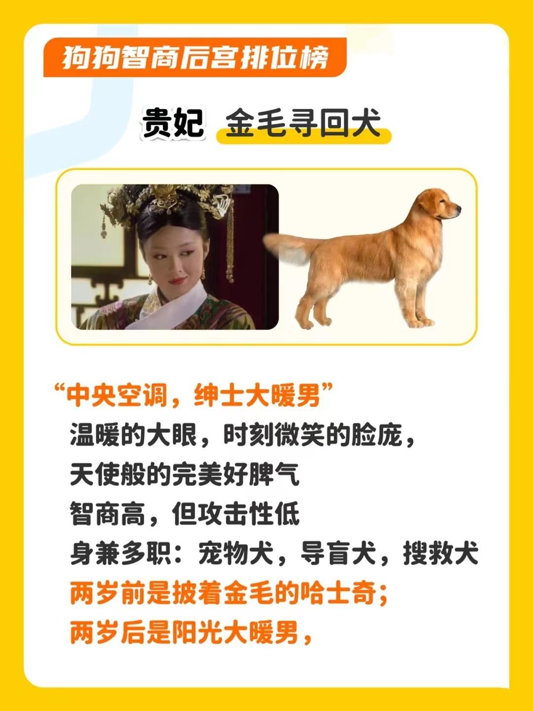 狗狗智商排行榜，哪种最聪明？ - 知乎