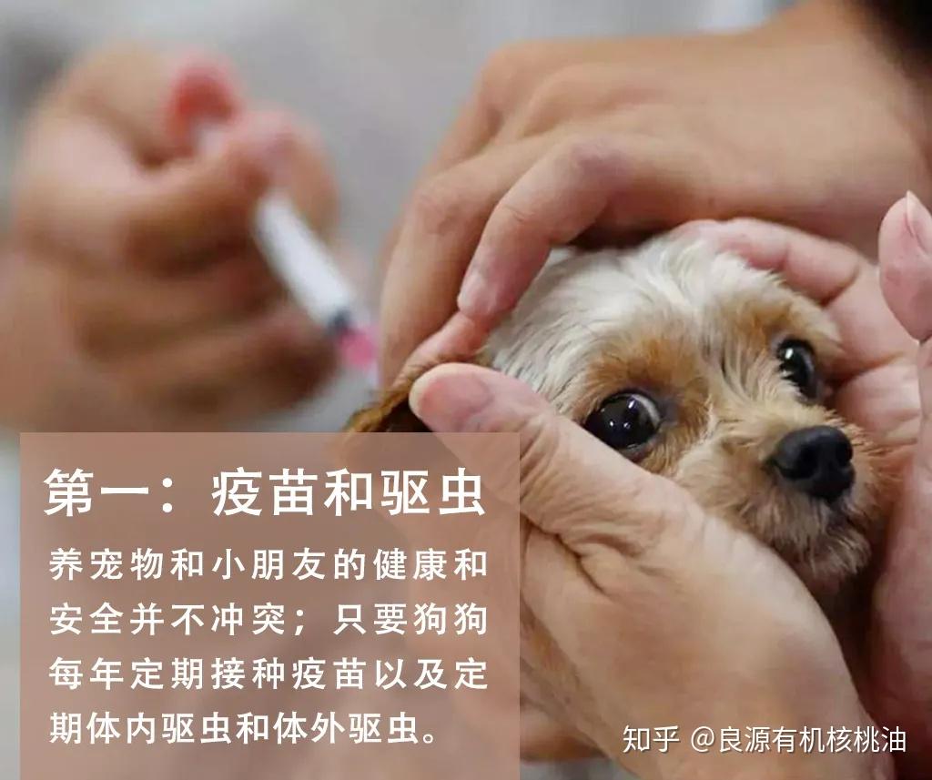 首先狗狗每年定期接种疫苗:狂犬疫苗弓形虫疫苗(会人畜共感染的寄生虫