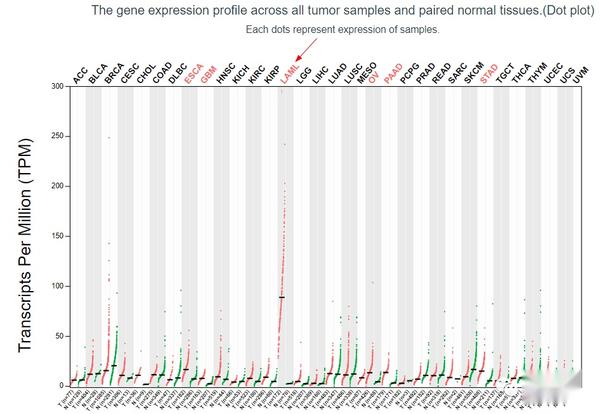 TCGA分析的数据库——GEPIA数据库的使用教程！！ - 知乎