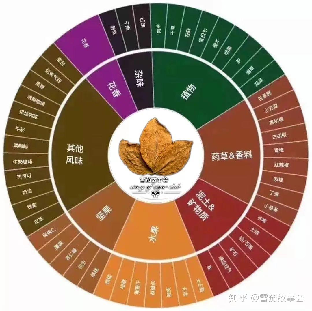 其实风味轮的出现并不新鲜,从葡萄酒,威士忌,咖啡这些品类中也有类似