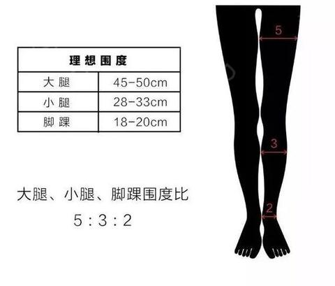 一下吧: 1,理想的腿围 还有计算公式,是这样的: 「大腿围」标准=身高