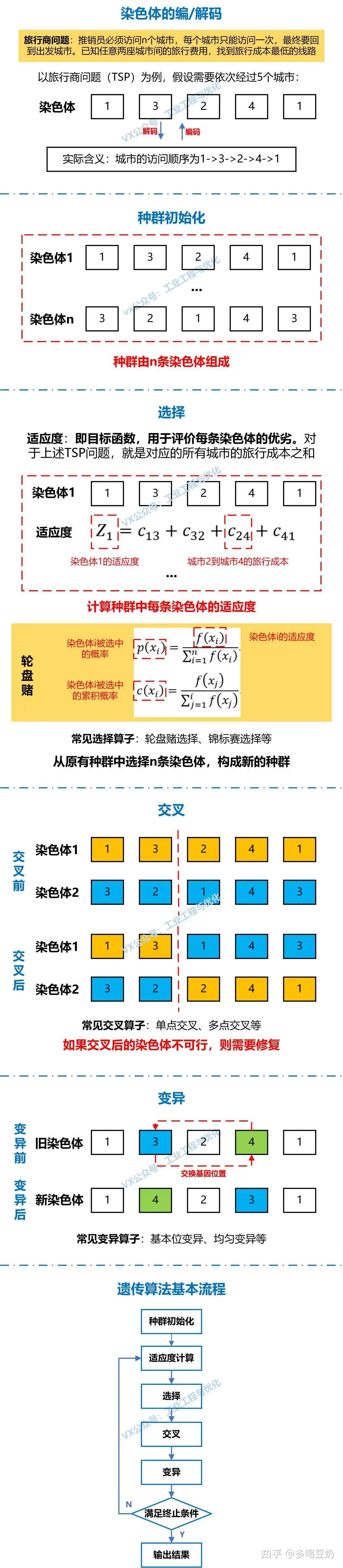 遗传算法图解图片