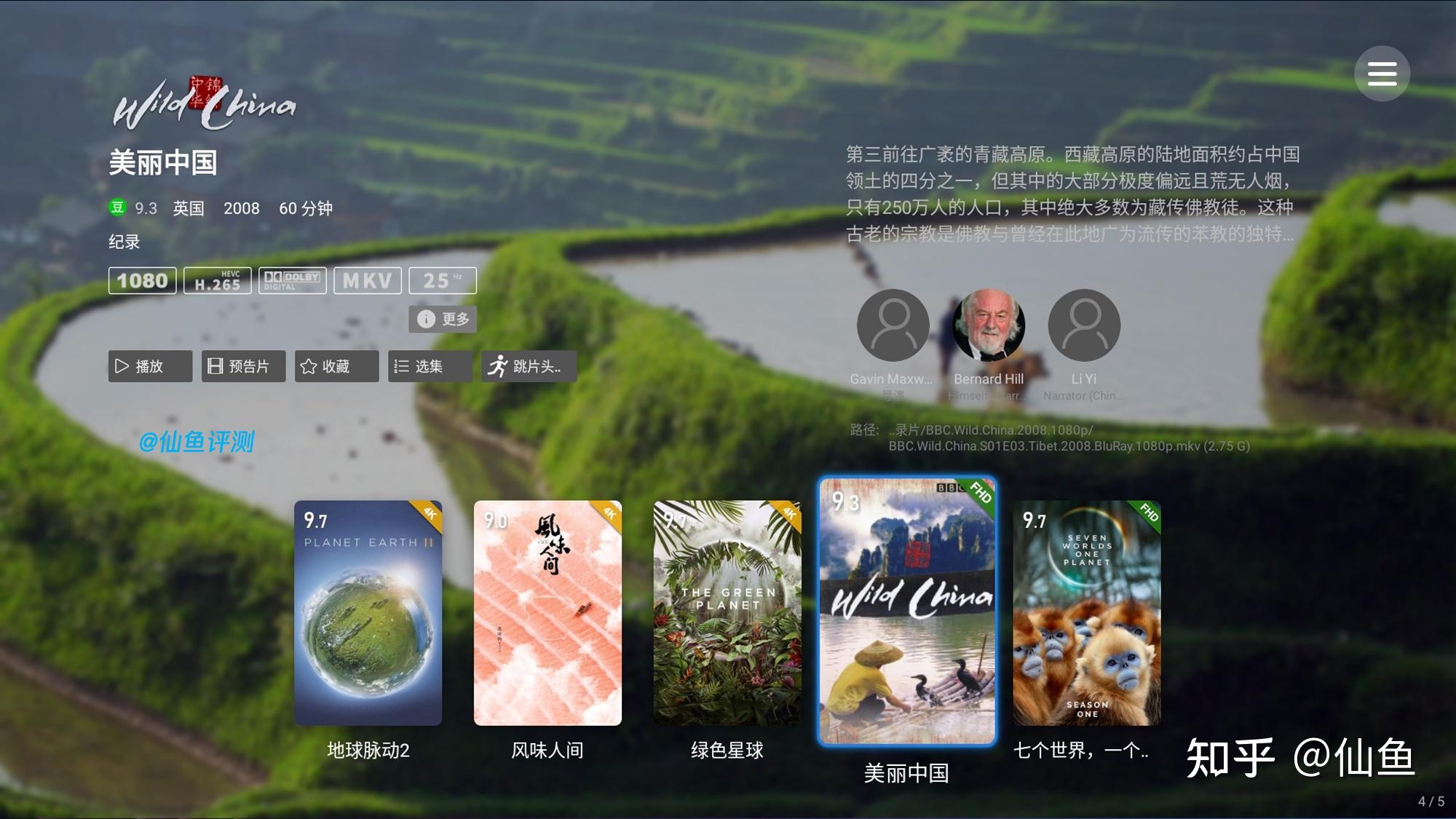 不吹不黑,我不敢说芝杜的海报墙4
