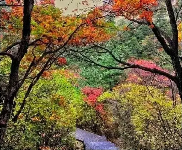 秋末华山 无需准备 随手拍大片 知乎