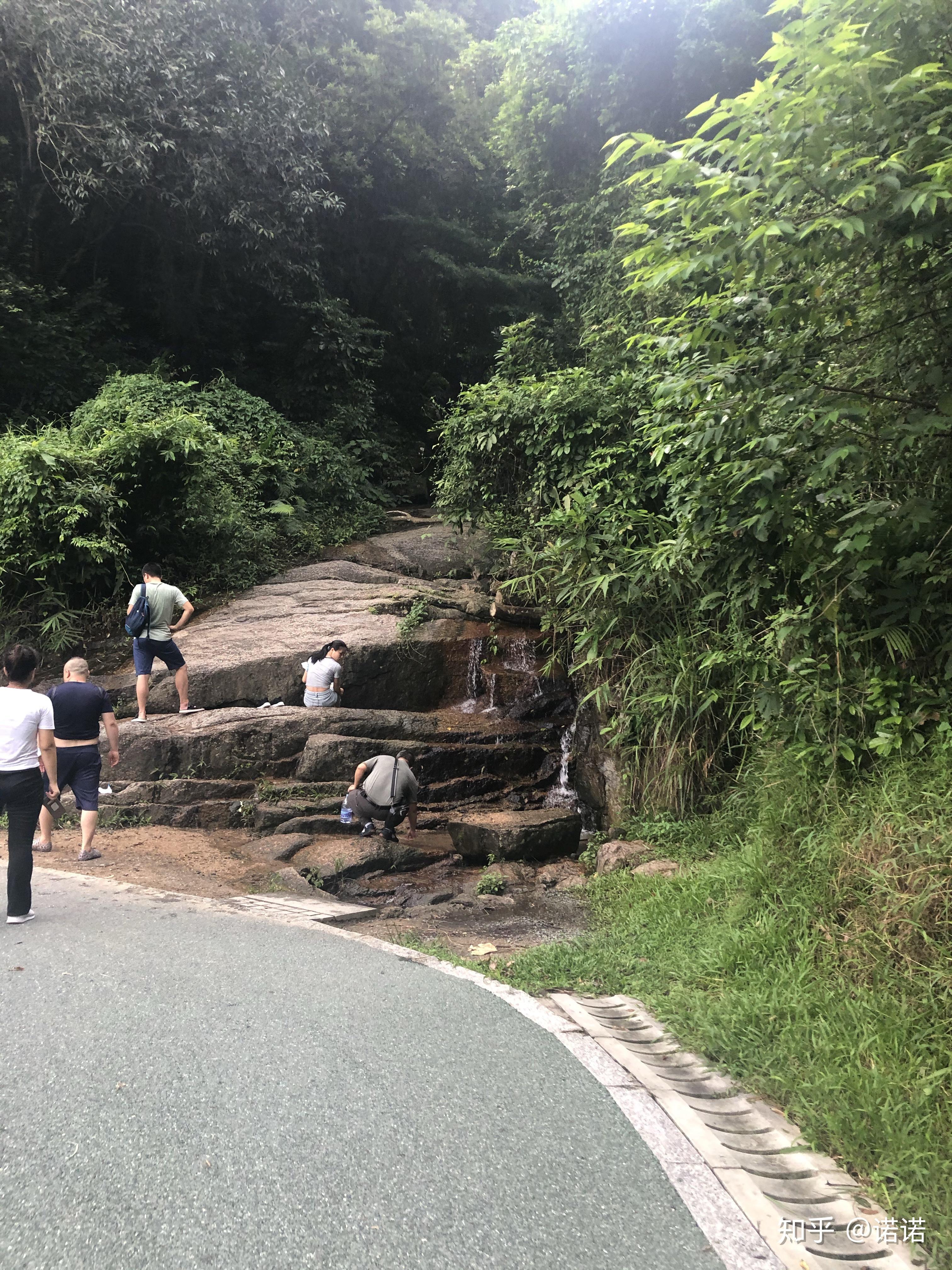 深圳羊台山森林公園小分享